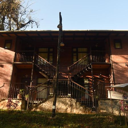 Red Panda Jungle Camp - A Unit Of Davinchi Homes Pvt Ltd Gyalshing Exterior photo